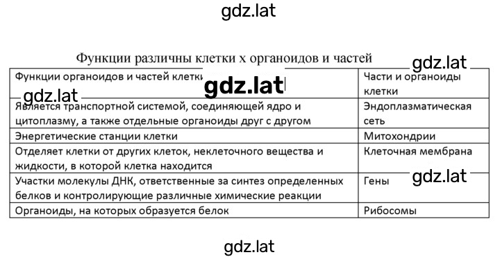 Решение задания № §7 — страница 3