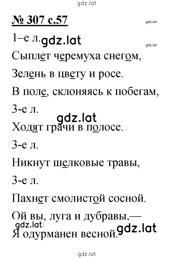 Решение задания № 307 — страница 1
