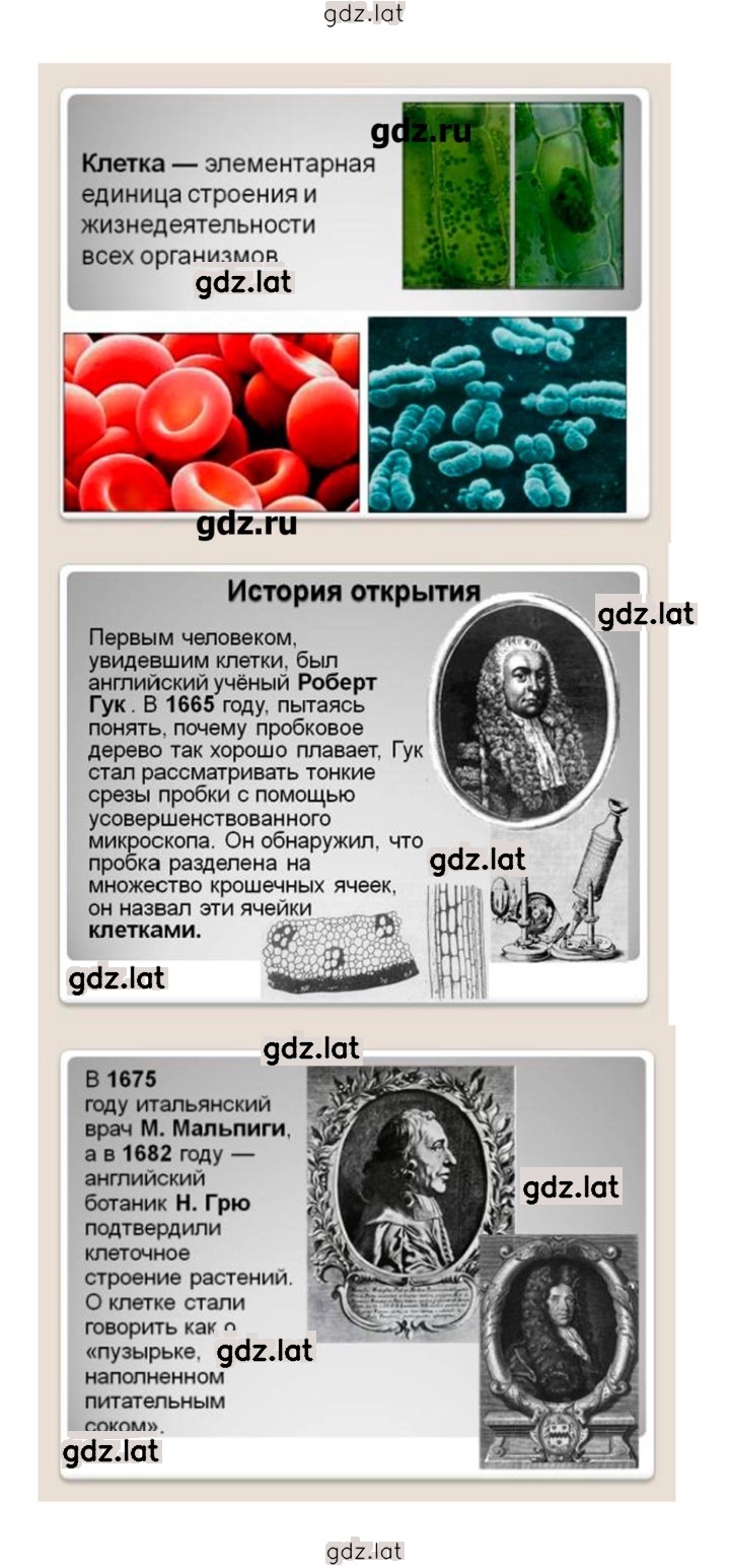 Решение задания № 114 — страница 5