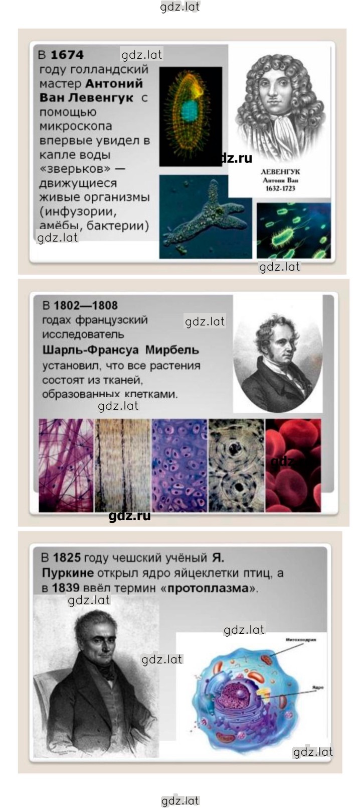 Решение задания № 114 — страница 6