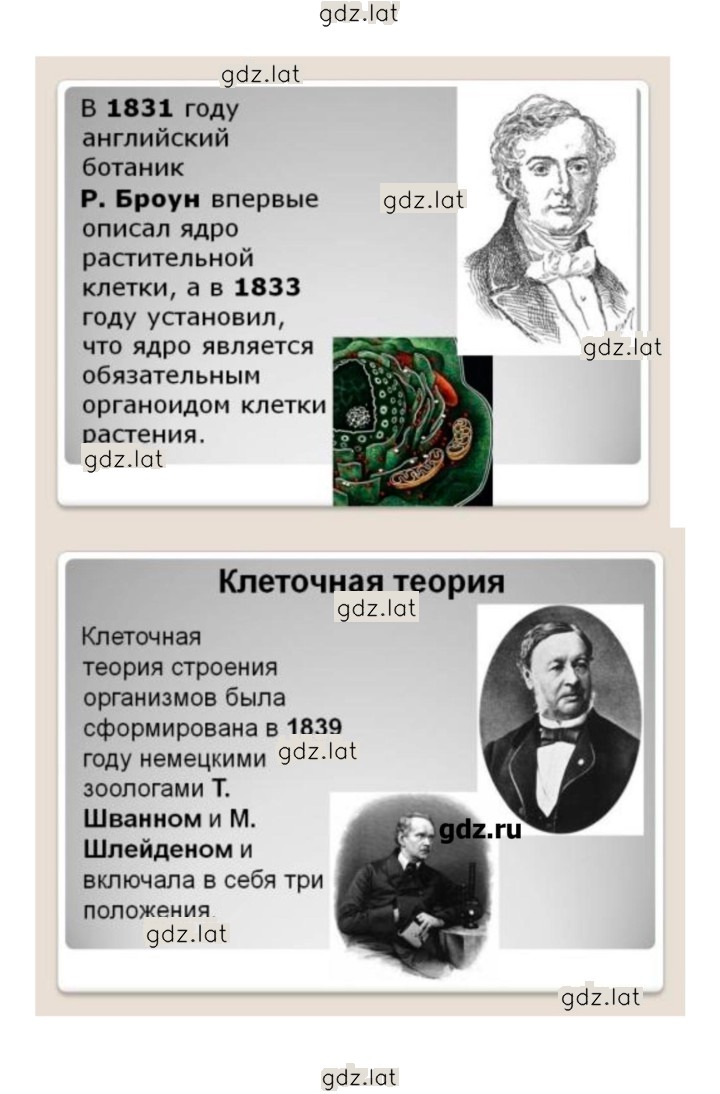 Решение задания № 114 — страница 7