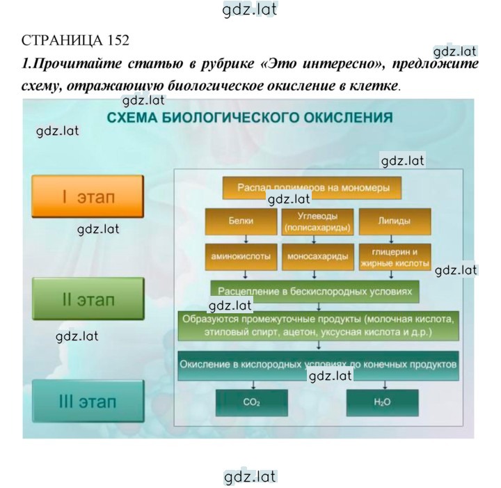 Решение задания № 152 — страница 3