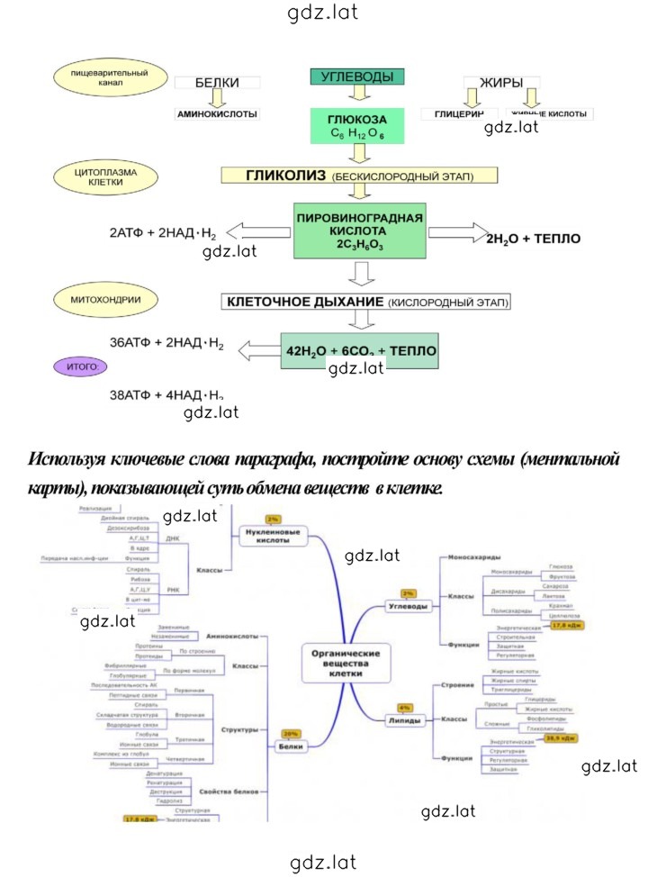 Решение задания № 152 — страница 4