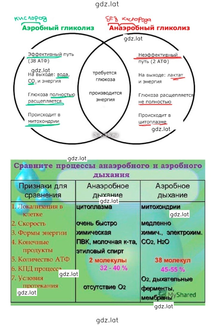 Решение задания № 159 — страница 3