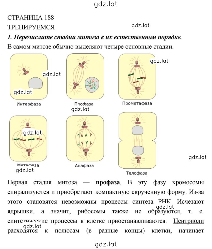 Решение задания № 188 — страница 1
