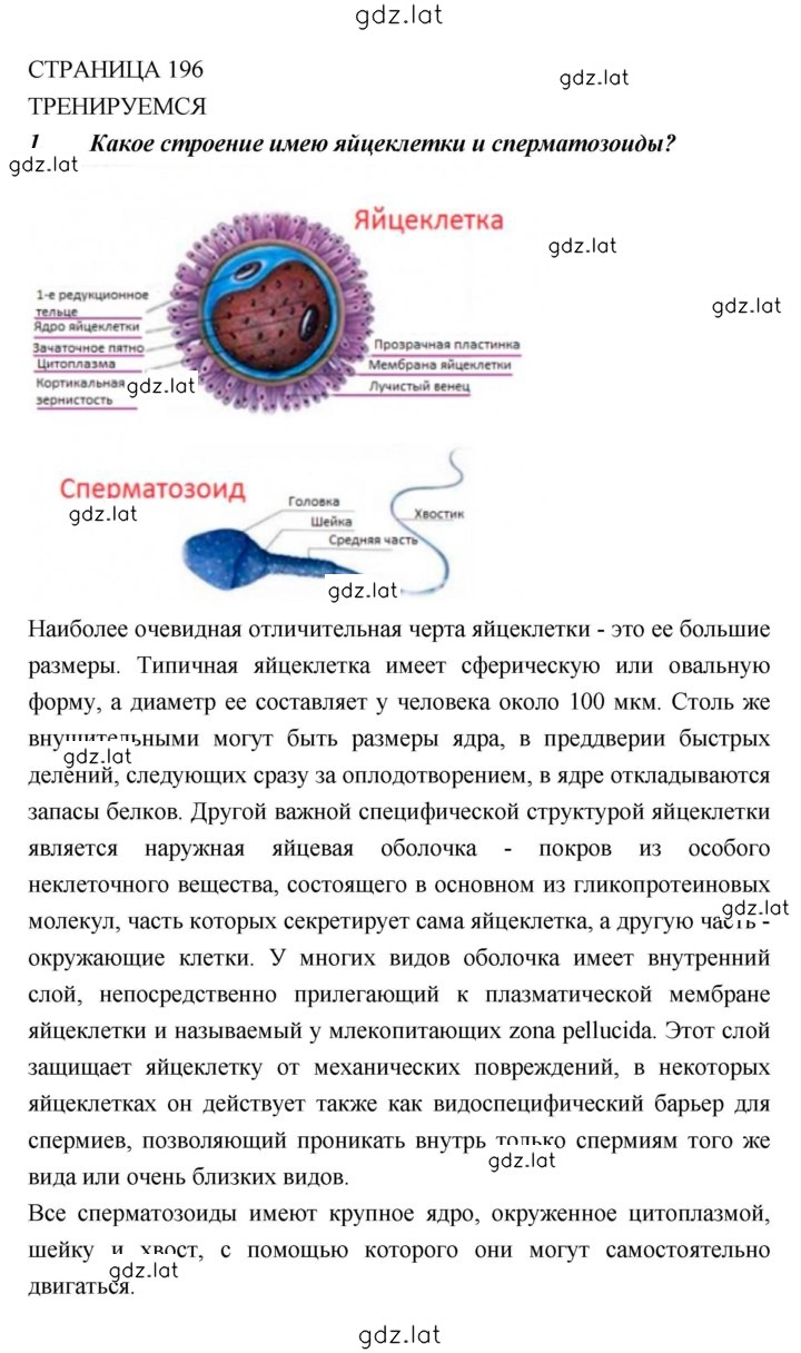 Решение задания № 196 — страница 1