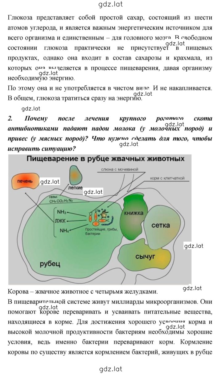 Решение задания № 66–67 — страница 2