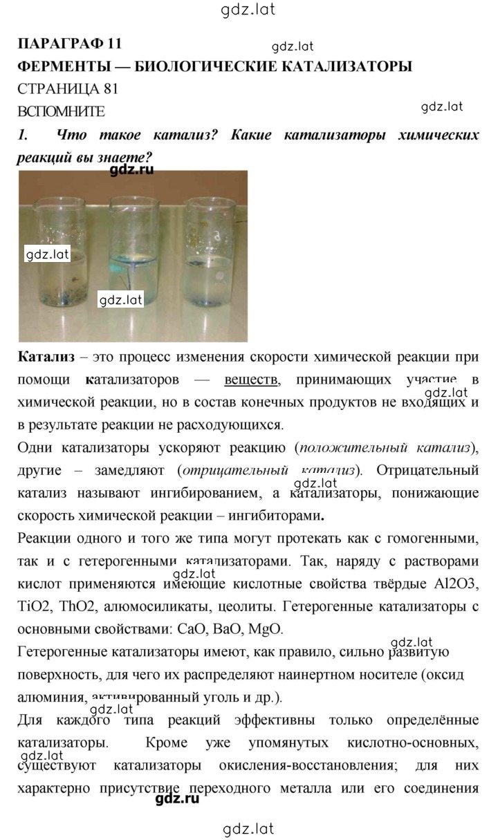 Решение задания № 81 — страница 1