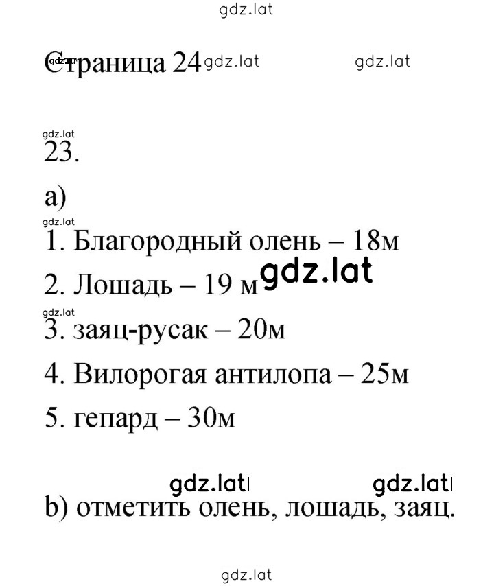 Решение задания № 24 — страница 1