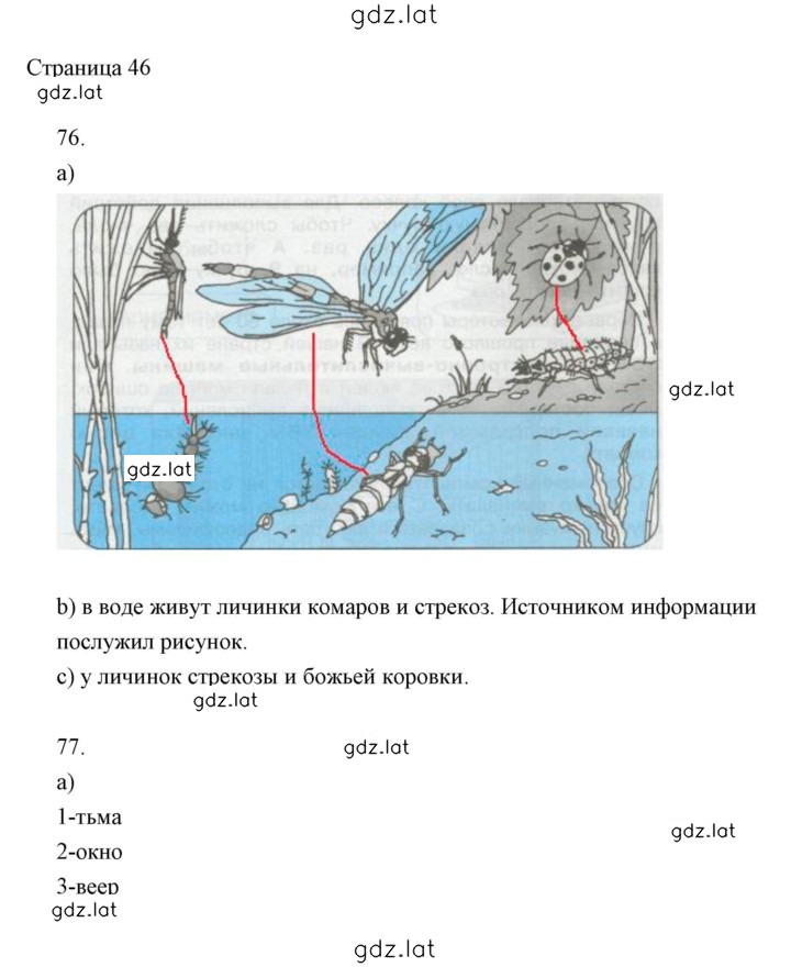 Решение задания № 46 — страница 1