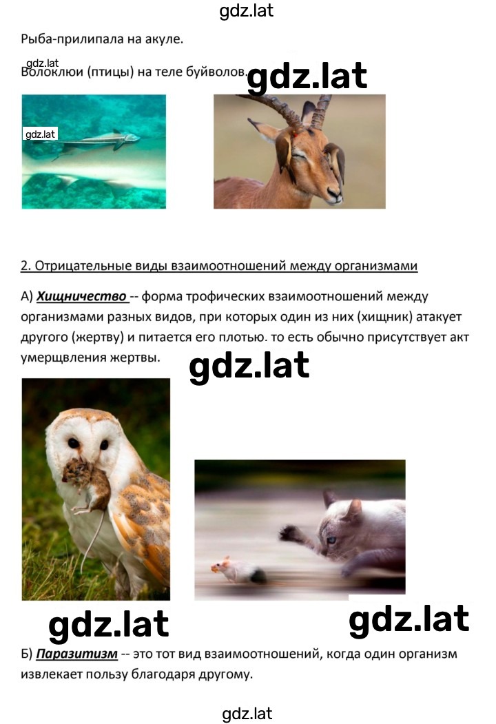 Решение задания № 2 — страница 4