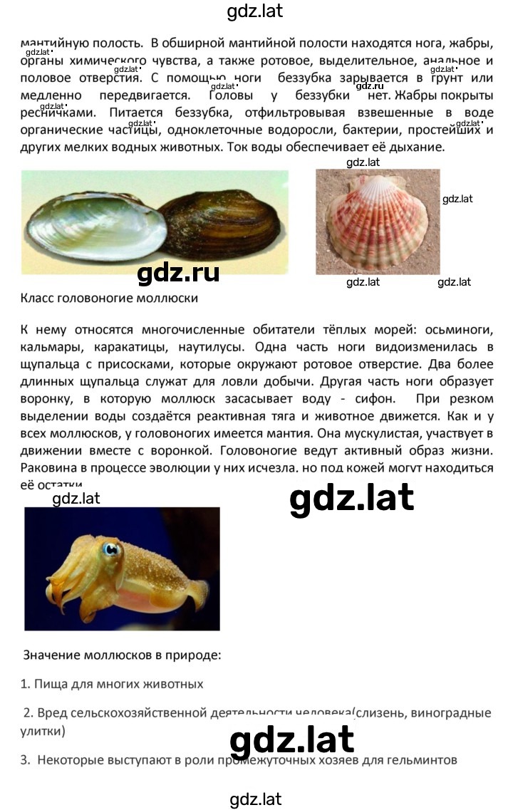 Решение задания № 22 — страница 11