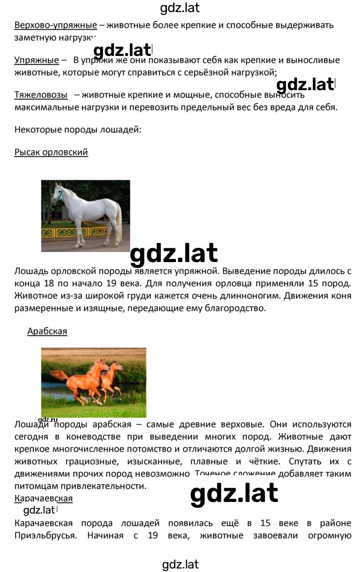 Решение задания № 58 — страница 20