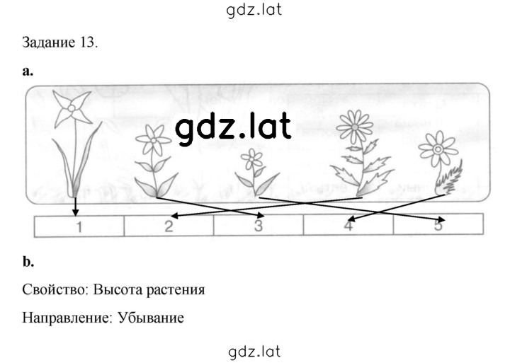 Решение задания № 12 — страница 2