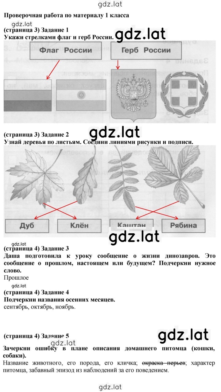 Решение задания № Вариант 1 — страница 1