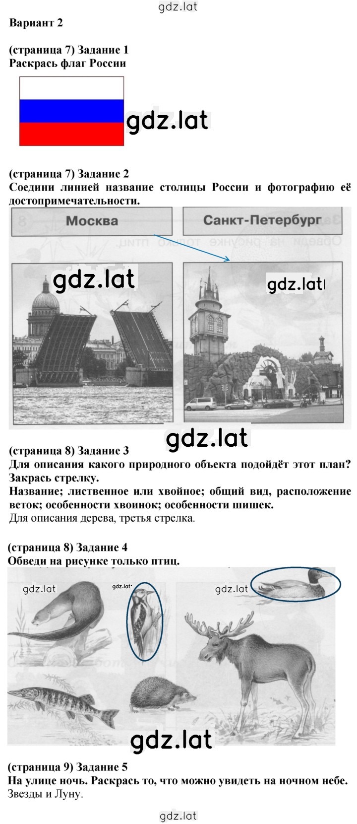 Решение задания № Вариант 2 — страница 1