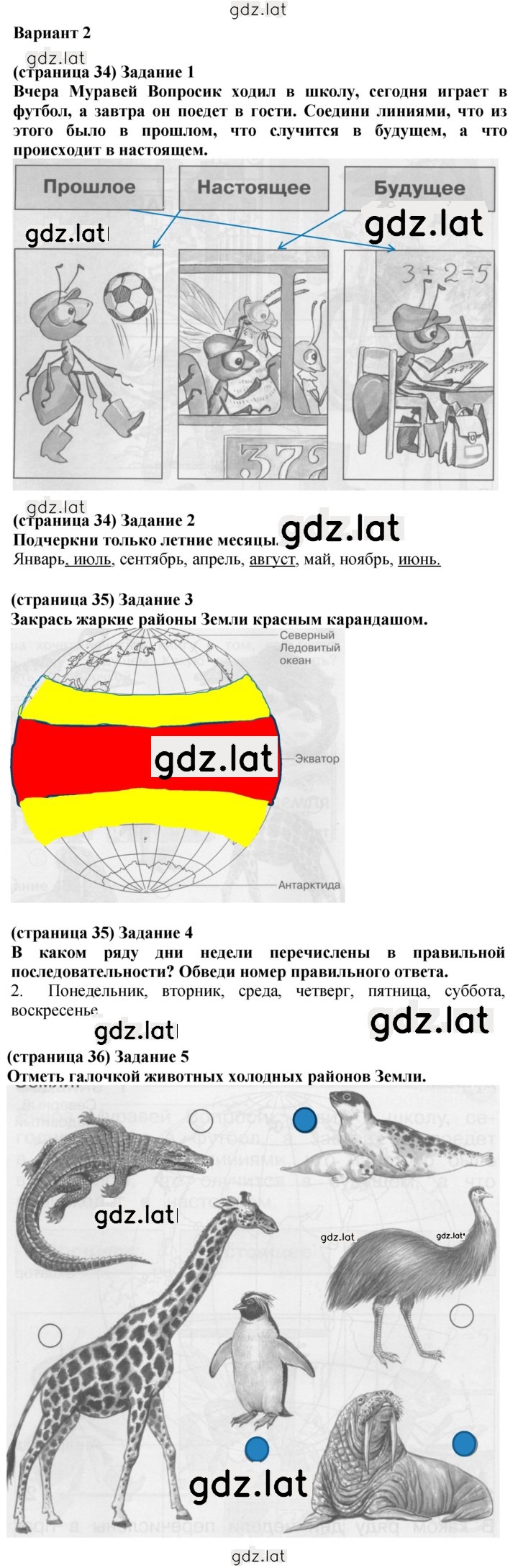 Решение задания № Вариант 2 — страница 1