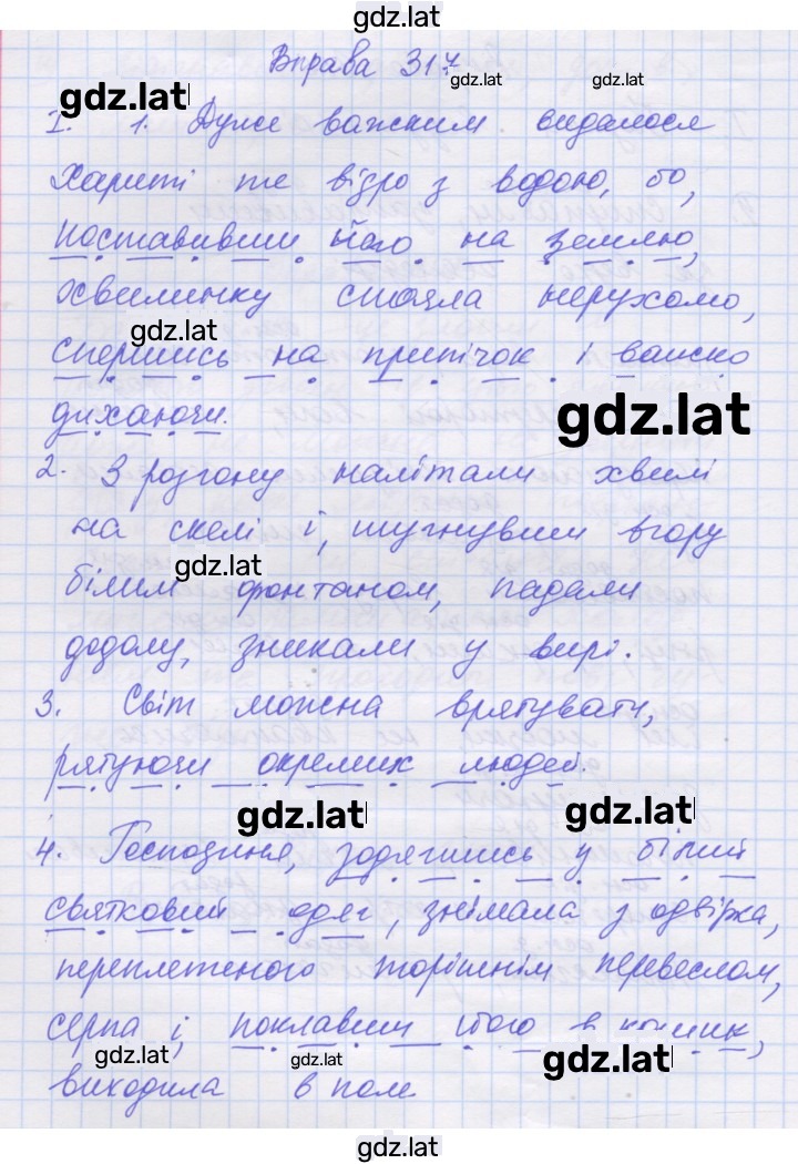 Решение задания № 317 — страница 1