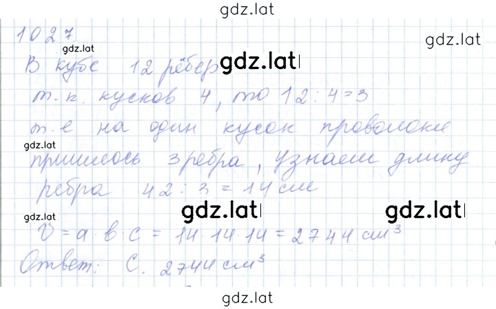 Решение задания № 1027 — страница 1