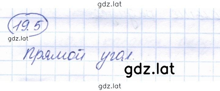 Решение задания № 19.5 — страница 1