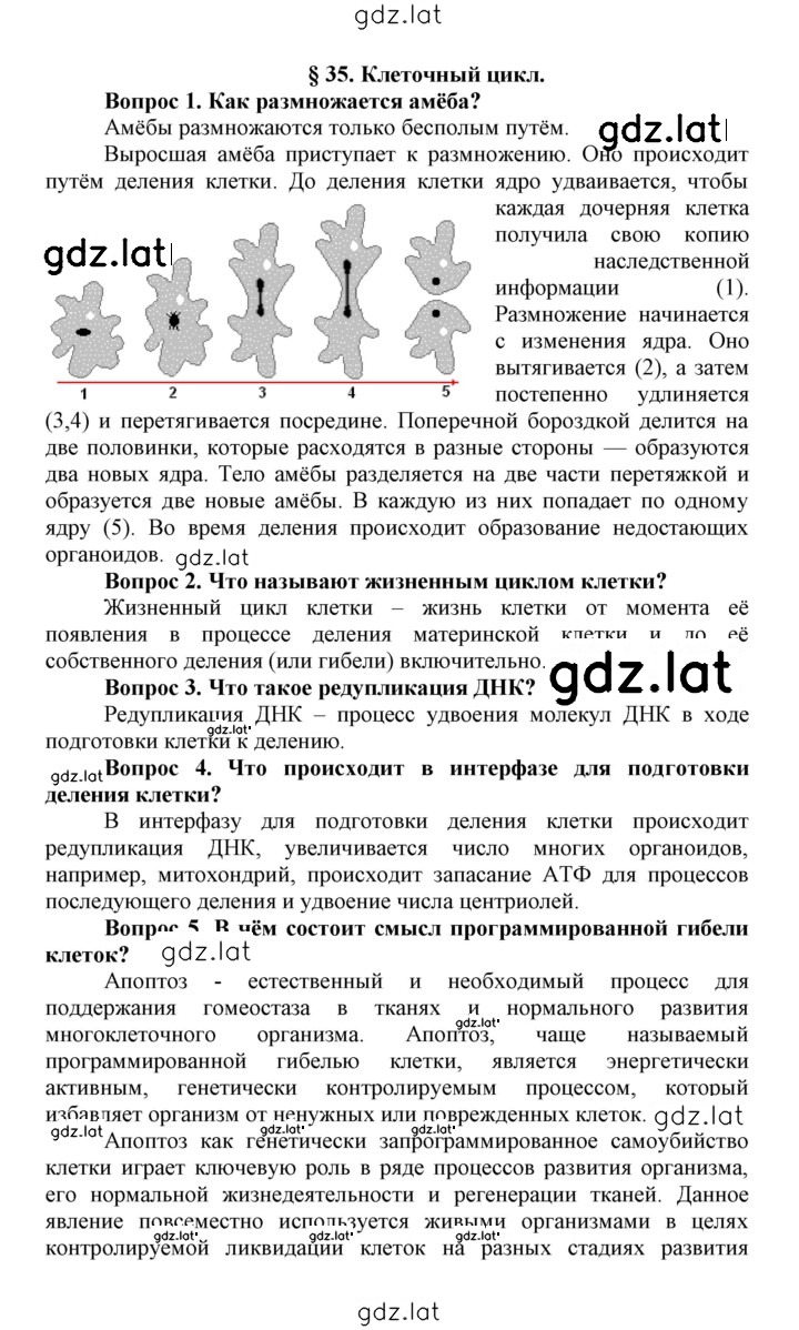Решение задания № 35 — страница 1