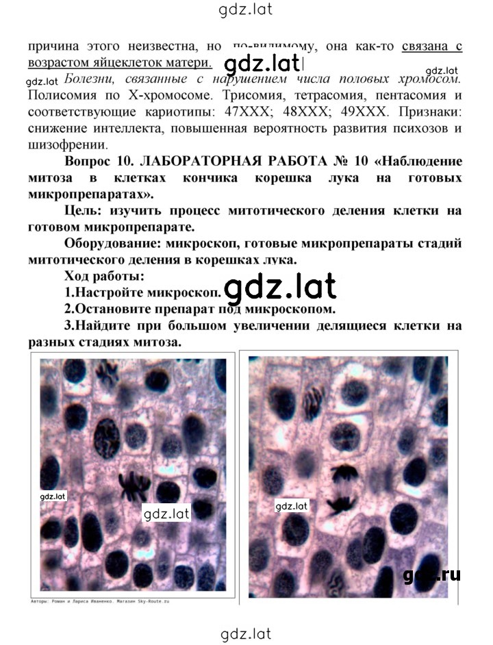Решение задания № 36 — страница 5