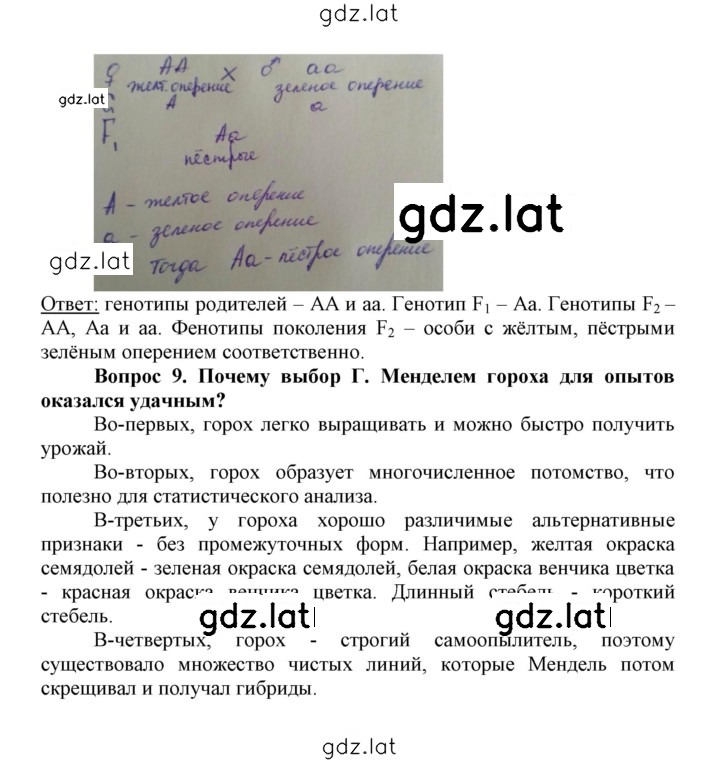 Решение задания № 43 — страница 3
