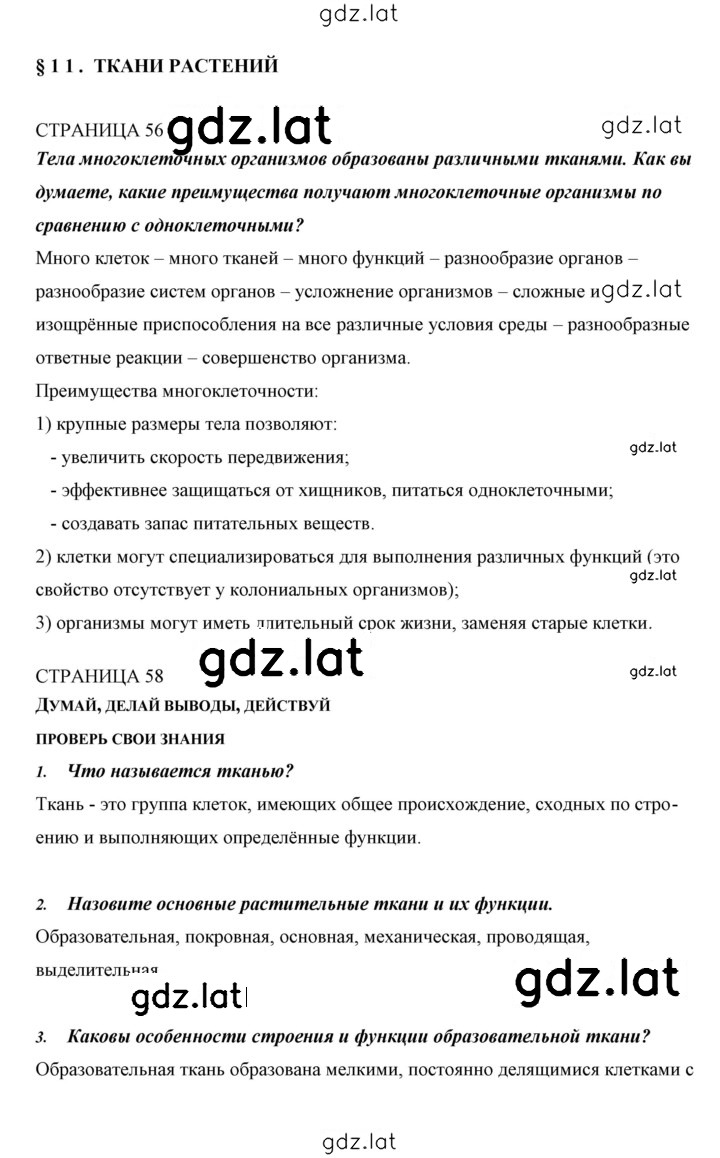 Решение задания № 11 — страница 1