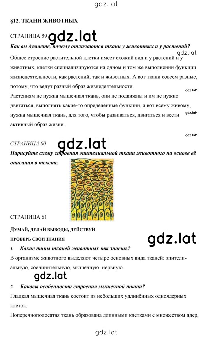 Решение задания № 12 — страница 1