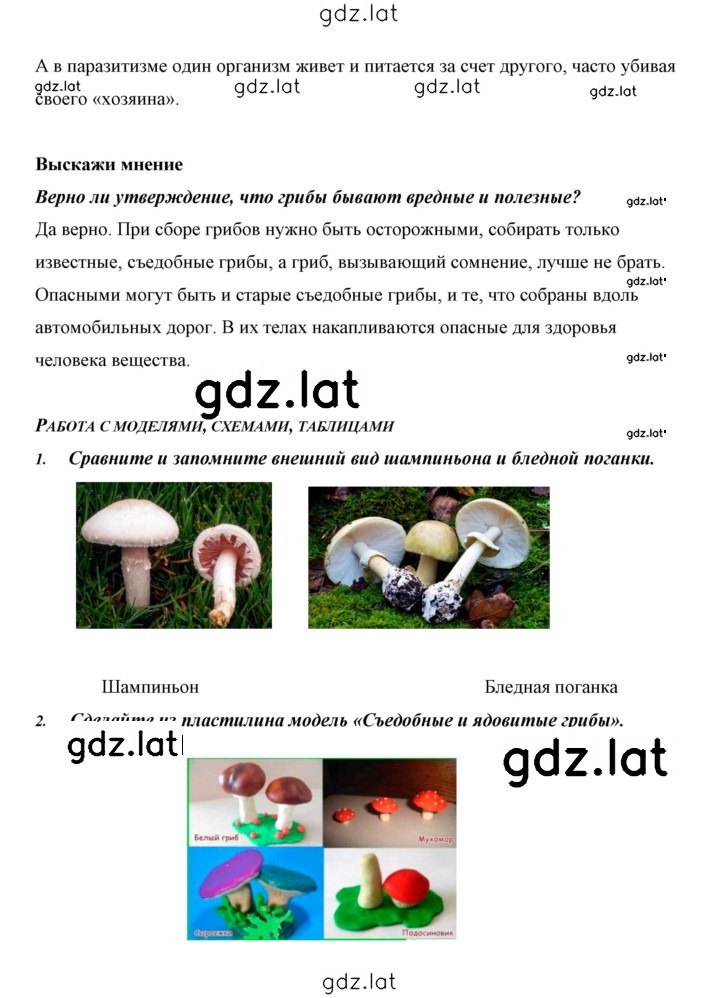 Решение задания № 20 — страница 8
