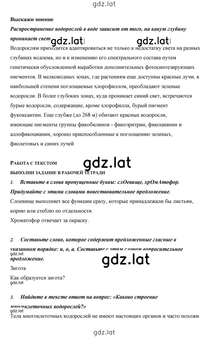 Решение задания № 22 — страница 5
