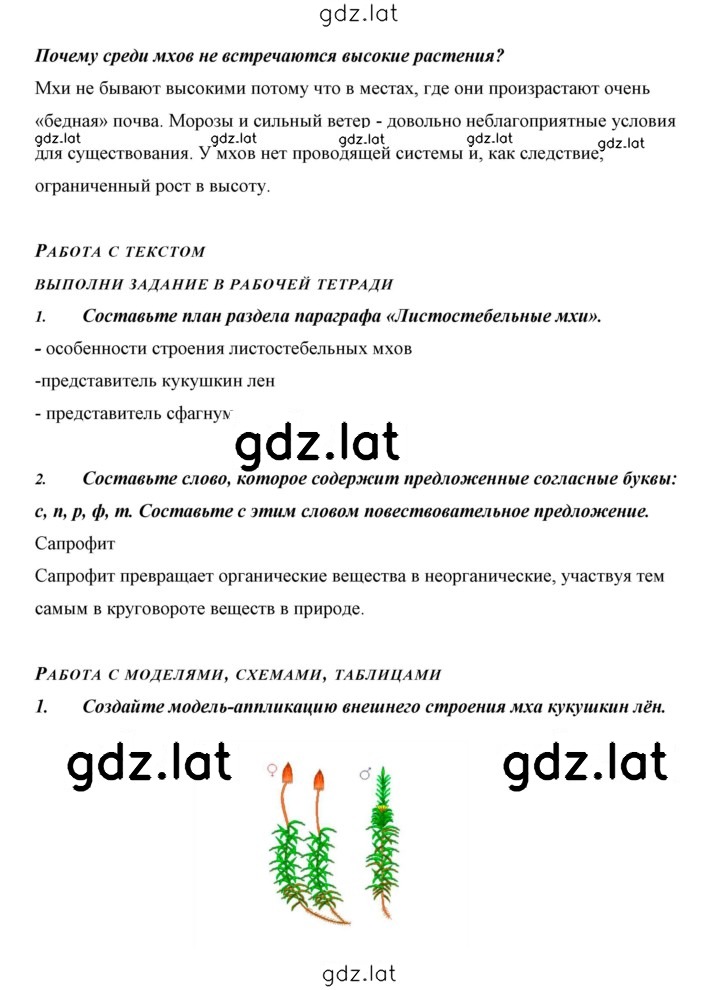 Решение задания № 25 — страница 6