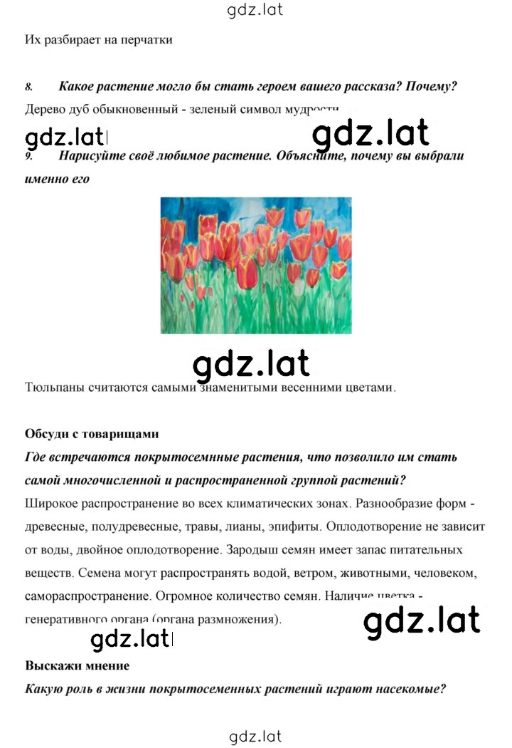 Решение задания № 28 — страница 9