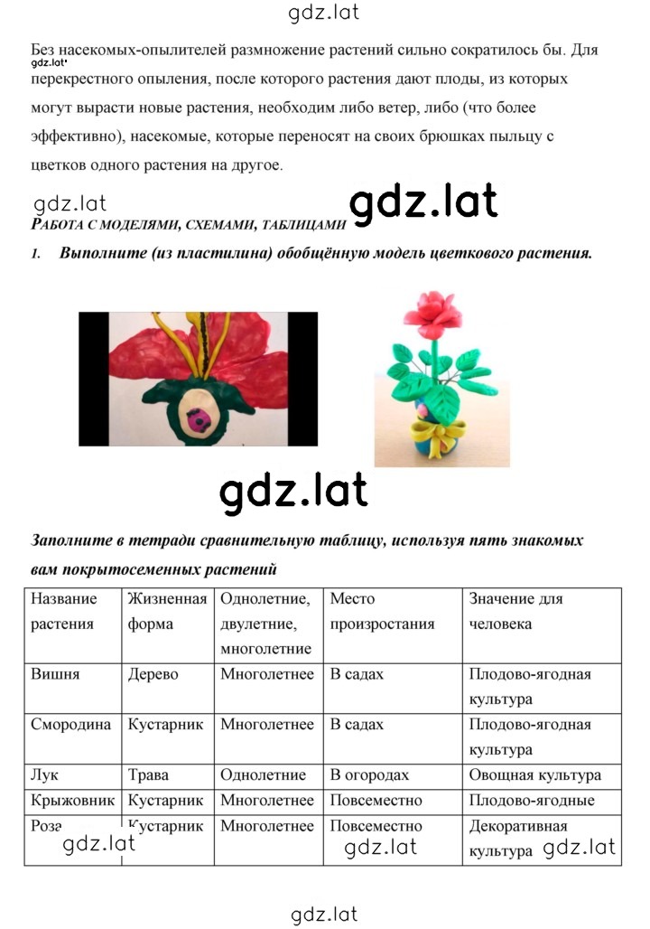 Решение задания № 28 — страница 10