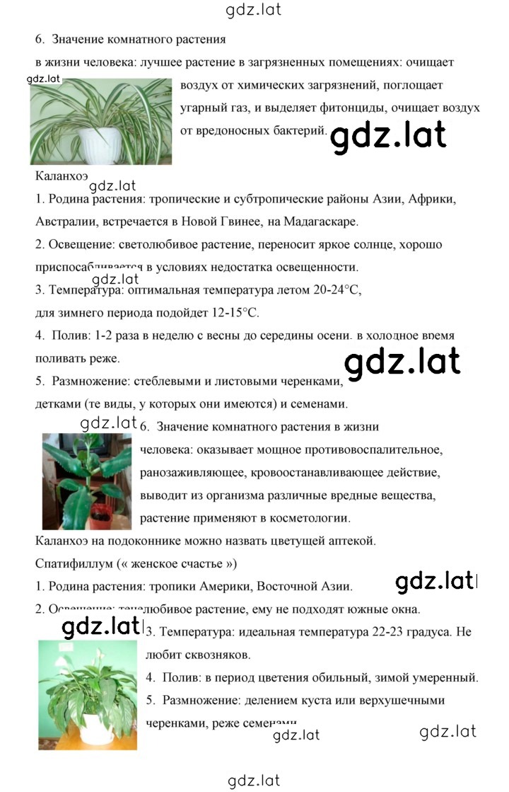Решение задания № 30 — страница 17