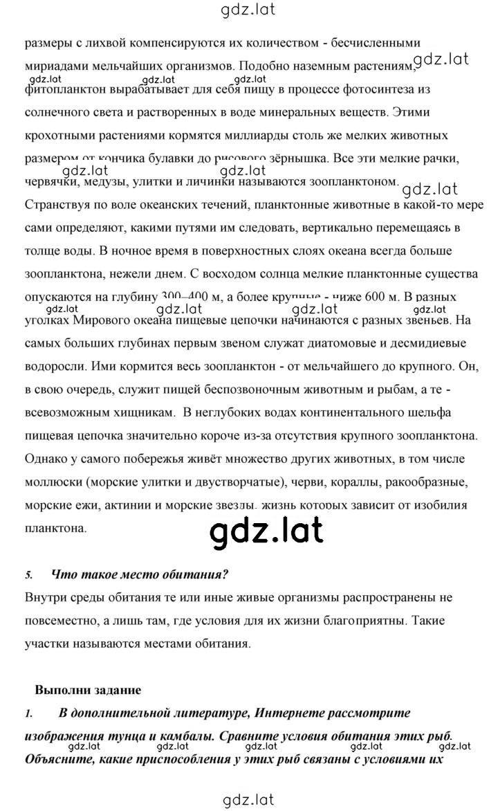Решение задания № 5 — страница 6