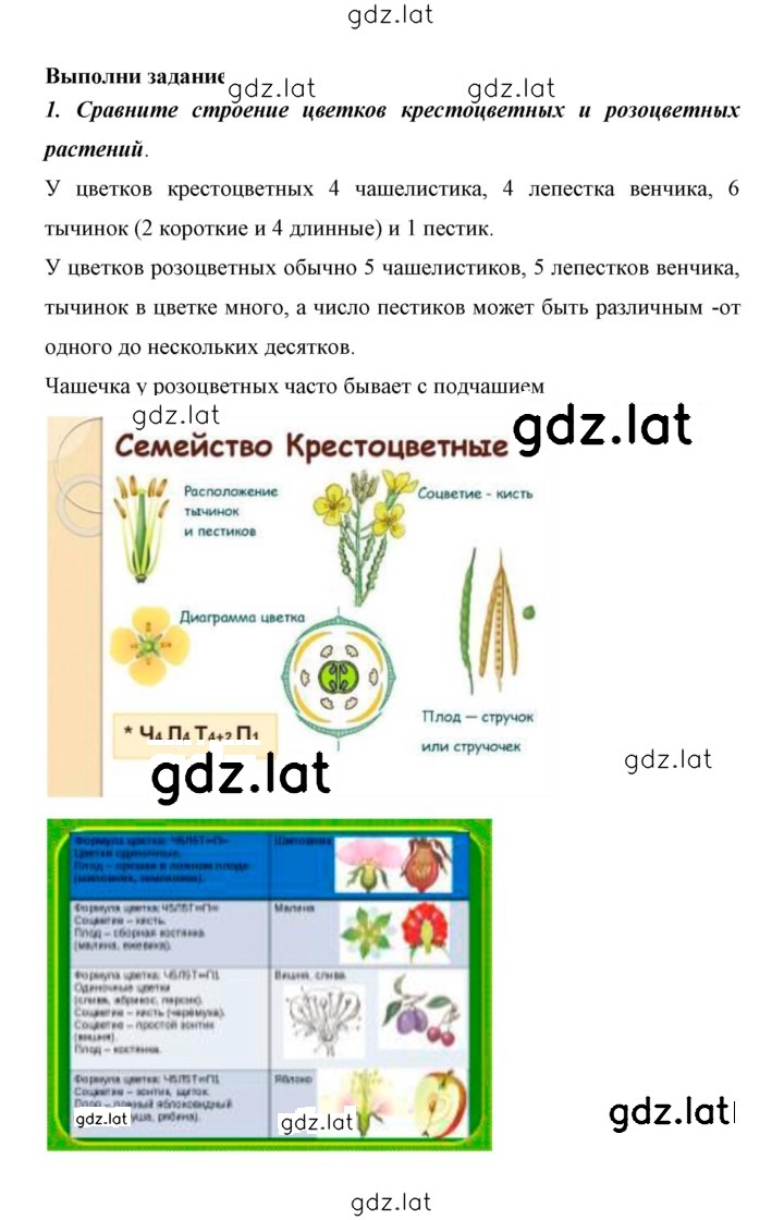 Решение задания № 106 — страница 4