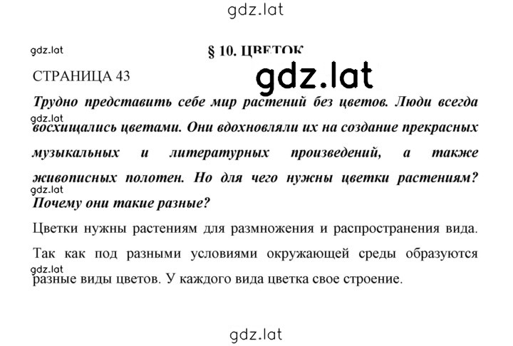 Решение задания № 43 — страница 1