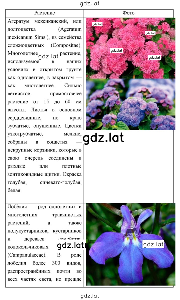 Решение задания № 33 — страница 3