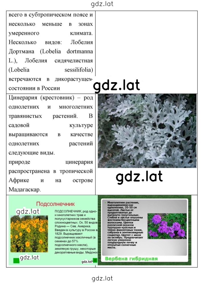 Решение задания № 33 — страница 4