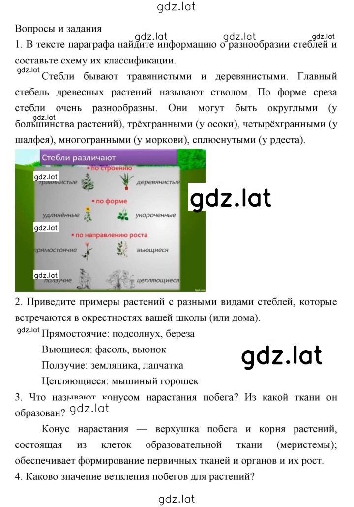 Решение задания № 77 — страница 1