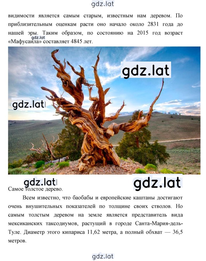 Решение задания № 77 — страница 6
