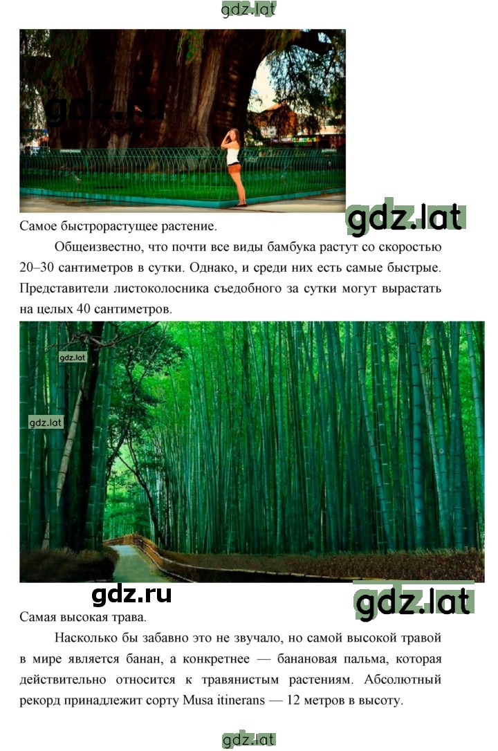 Решение задания № 77 — страница 7