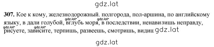 Решение задания № 307 — страница 1