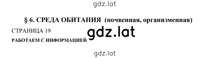 Решение задания № 19 — страница 1