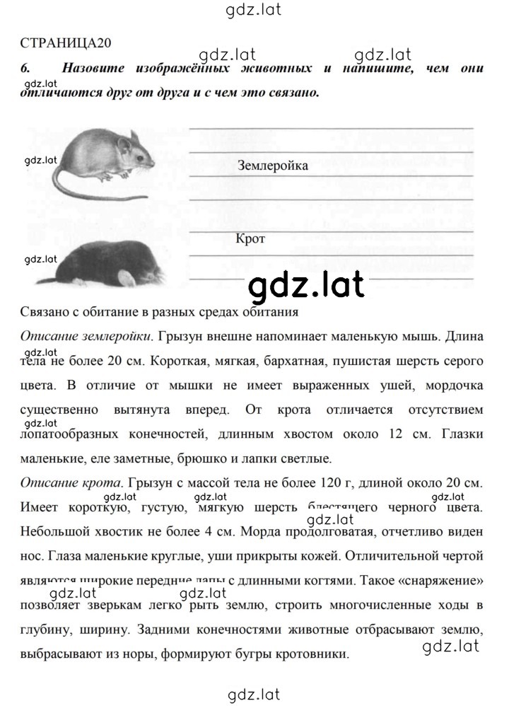 Решение задания № 20 — страница 1