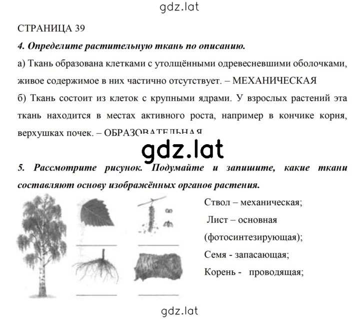 Решение задания № 39 — страница 1