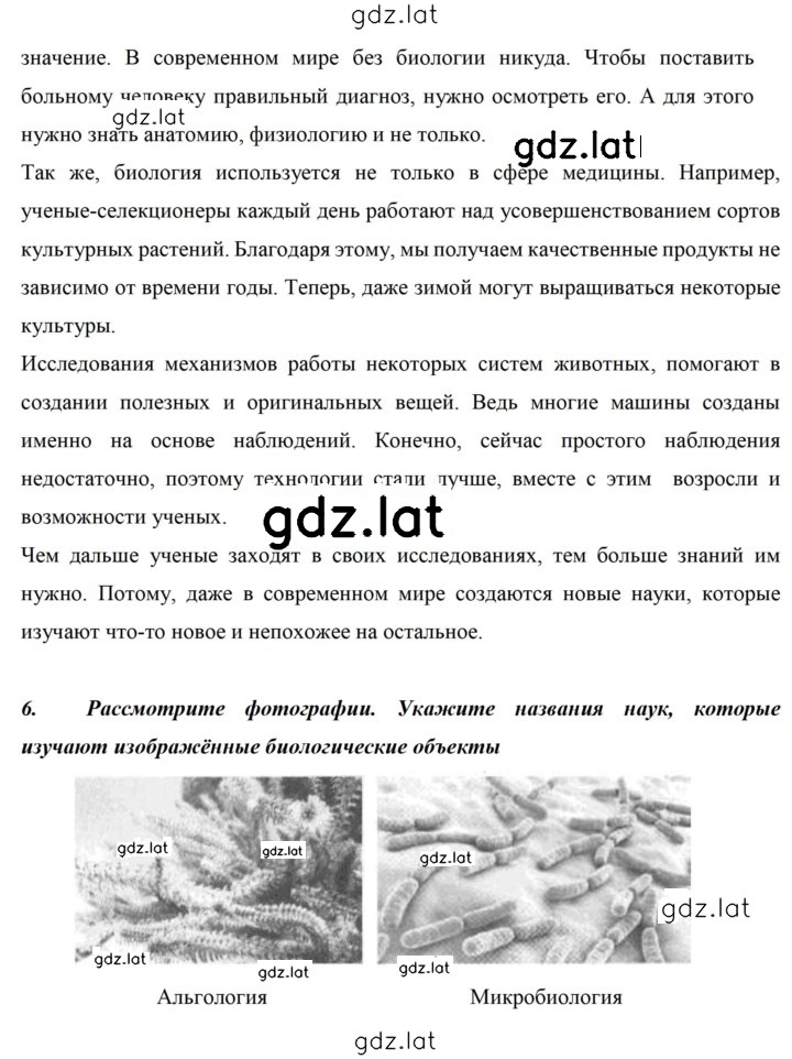 Решение задания № 4 — страница 2