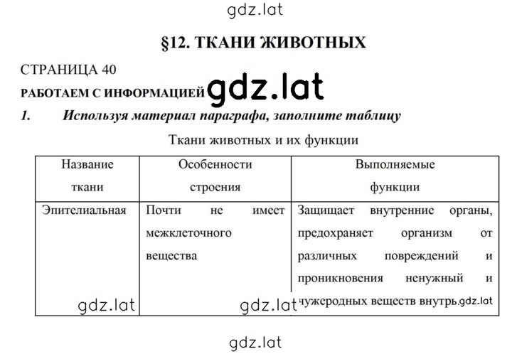 Решение задания № 40 — страница 1