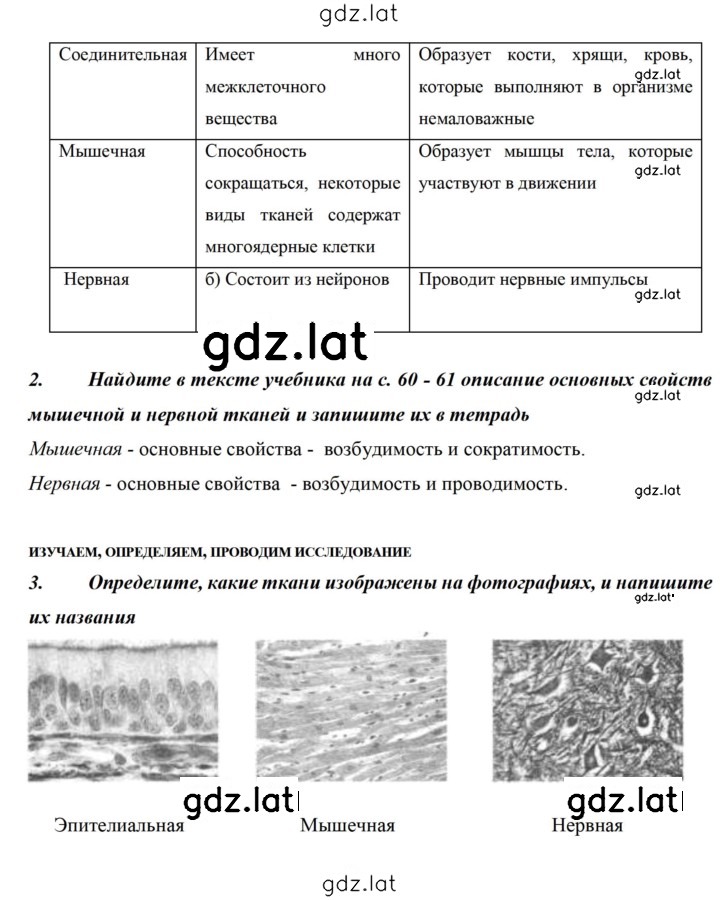 Решение задания № 40 — страница 2
